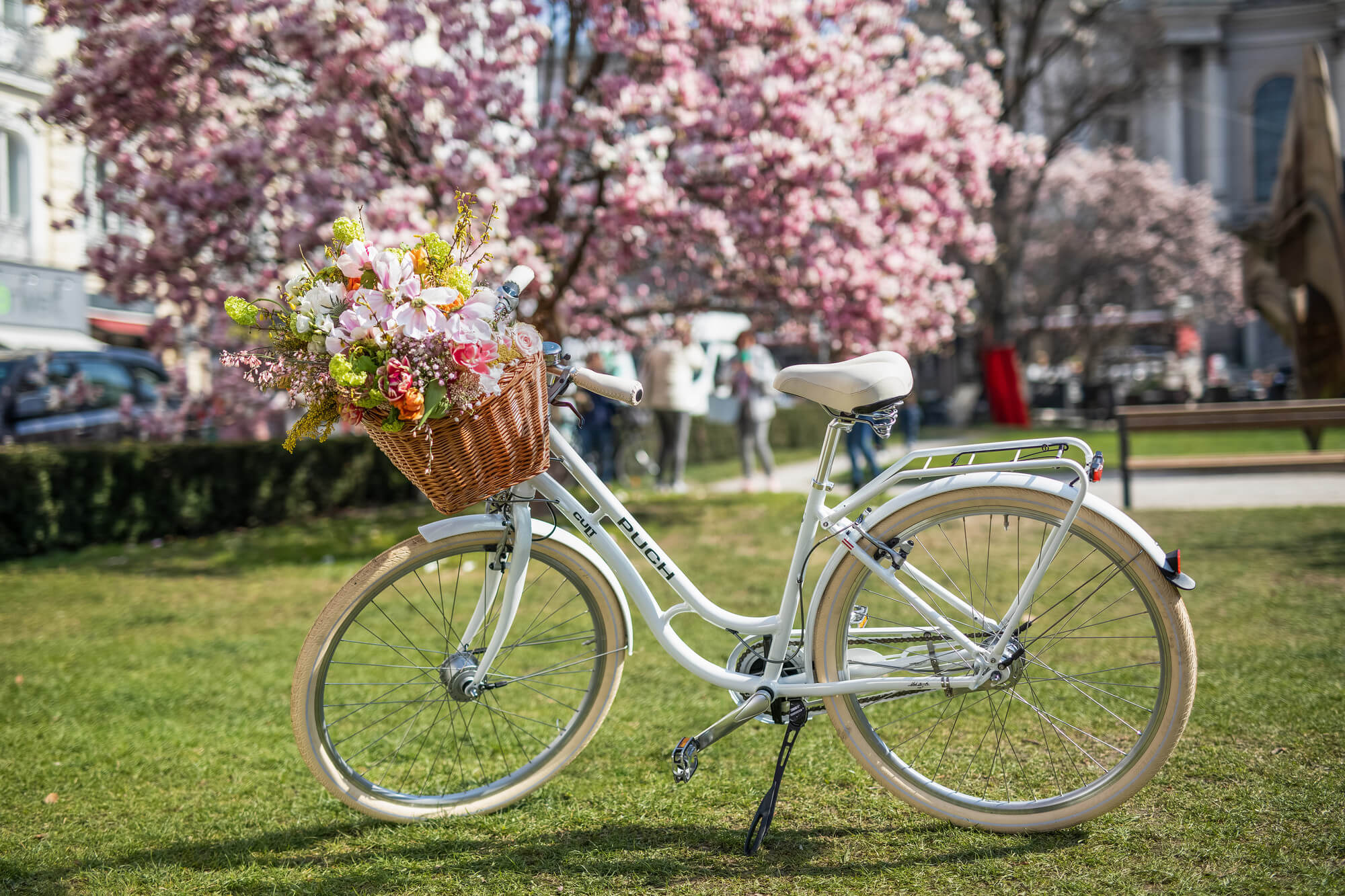 In bicicletta a Salisburgo – scoprire la città con calma e stile.
