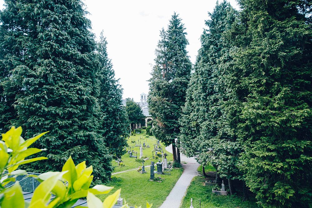 Room view into the greenery of the listed St. Sebastian's Cemetery